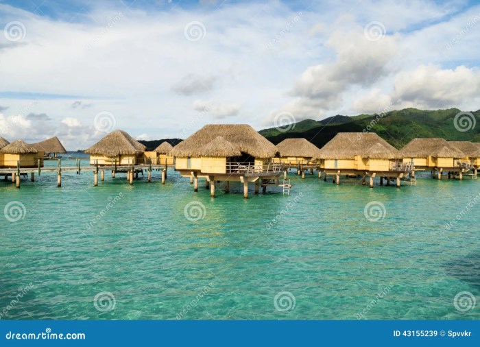 Overwater Villas Now Taking Bookings! – Comiskey Group